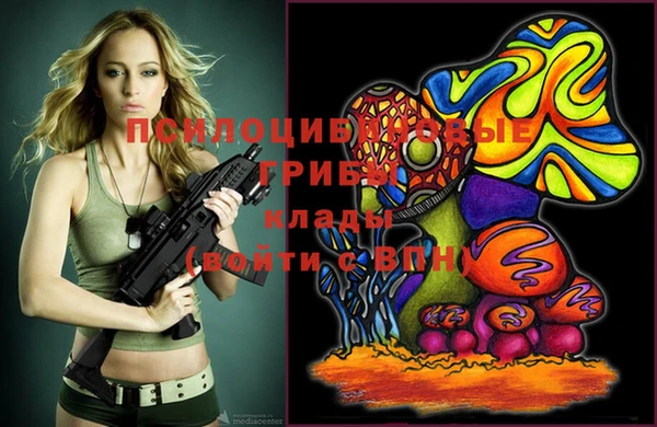 стафф Баксан